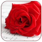 Logo of Romantic Love Pics android Application 